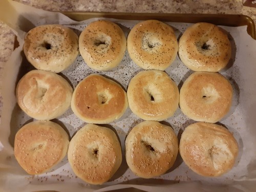 Homemade fresh bagels dozen - homemade,